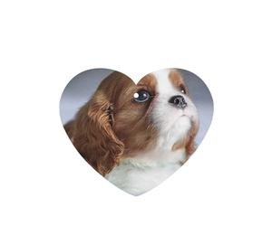 Tarjetas ambientadoras para coche, tabletas de aromaterapia para coche, tarjetas perfumadas para colgar en el hogarCara Cavalier King Charles Spaniel