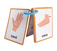 Tarjetas de aprendizaje de inglés - Tarjeta de partes del cuerpo de 4