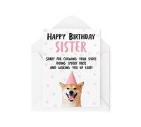 Tarjetas de cumpleaños divertidas para hermana del perro, tarjetas de felicitación para amantes de mascotas en su cumpleaños, tarjeta de perrito perdón por masticar tus zapatos - CBH241