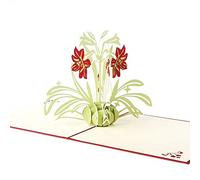 Tarjetas de felicitación 3D con diseño de narciso, tarjetas de regalo en blanco, mejores deseos para cumpleaños, día del profesor, 1 unidad, calidad superior, creativa, atractiva y a la moda