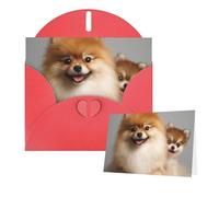 Tarjetas de felicitación con sobres, bonitas tarjetas en blanco de pomerania para todas las ocasiones, tarjeta de agradecimiento para invitaciones de boda, día de San Valentín, 10 x 15 cm