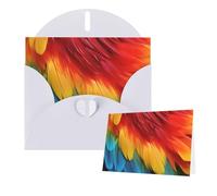 Tarjetas de felicitación con sobres, fantásticas tarjetas en blanco de plumas de loro para todas las ocasiones, tarjeta de agradecimiento para invitaciones de boda, día de San Valentín, 10 x 15 cm