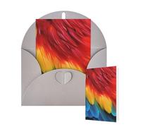 Tarjetas de felicitación de cumpleaños con sobres, fantásticas tarjetas en blanco de plumas de loro para todas las ocasiones, tarjeta de agradecimiento para invitaciones de boda, Navidad, 10 x 15 cm