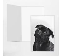 Tarjetas de felicitación verde oscuro con sobres, bonitas tarjetas de notas en blanco con estampado de perro carlino negro, perfectas para cumpleaños, bodas, aniversarios