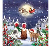 Tarjetas de Navidad benéficas, paquete de 10 - Marie Curie, BHF, Age UK, NSPCC, Sociedad del Alzheimer y Samaritanos - Perros Festivos - Fabricado en el Reino Unido - Ecológico