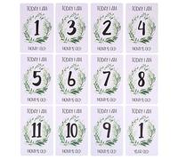 Tarjetas fotográficas novedosas para decoración de primera fiesta de familia, niños, bebés, niños, niñas, mi primer año, 12 meses, regalos para recién nacidos, calcomanías Oh Baby