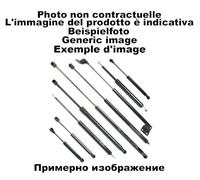 Taros Trade 393647 Amortiguador de gas para portón trasero Suv