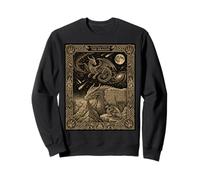 Tarot del dragón Celestial Tótem Draco Constelación Sudadera