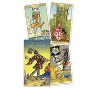Tarot of the New Vision Deck (Mixed Media Product) (Importación USA)