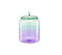 Tarro de almacenamiento de vidrio con sello hermético que mantiene el té, caramelos y alimentos secos, contenedor transparente para construcción de vidrio grueso, fácil de limpiar, colorido, 8,89 x