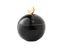 Tarro de cenizas para mascotas, diseño nórdico de lujo, sol, luna y estrellas que acompañan la simplicidad moderna, caja conmemorativa de la muerte de gatos y perros (negro)