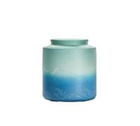 Tarro de cocina Ceramic Tea Canister Household Sealed Storage Jar For, Coffee, Sugar, Spice, Nuts para azúcar(Green)