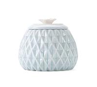 Tarro de cocina Lata de té cerámica con forma piña, lata sellada, almacenamiento for el hogar, caja china, 500 ml para azúcar(Blue)