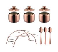 Tarro for condimentos, organizador de especias acero inoxidable, frascos con tapas y cucharas, accesorio mostrador for(Rose gold)