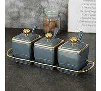 Tarro for condimentos, recipiente for especias, tarro for de cerámica dorada pintado a mano, caja for, for almacenar sal y azúcar con tapa(Gray)