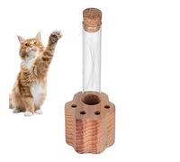 Tarro para bigotes de gato - Vidrio transparente, recuerdo de mascotas | Mini tarro de para guardar bigotes de gato con pedestal de madera en forma de garra, para coleccionistas que colecciona