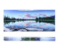 TARSHYRY Fondo del Acuario, Accesorios de Dragón Barbudos de Fondo de Terrario de de Pintura Decorativa Pegatina de PVC Imagen de Paisaje para la Caja de Pescado del Acuario (61 * 30CM)