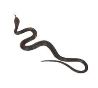 TARSHYRY Serpiente, Serpiente Falsa de Goma Bromas de Goma Realista para Juguetes Broma Halloween (Tipo 1)