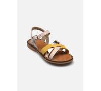 Tartine et Chocolat T&C 10 CROSS 25 Blanco