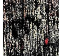 Tashi Dorji & Tyler Damon - Both Will Escape [Vinilo]
