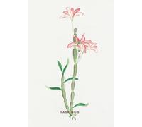 Task hub: Japanese floral art themed 50 pages blank lined bullet journal for recording daily tasks and goals for adults and teens