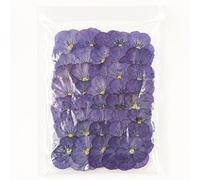 Tastetreasure 40 unidades de flores prensadas secas naturales reales para decoración de tartas, cócteles, decoración de alimentos, embalaje al vacío