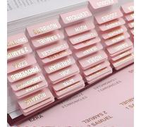 Tastetreasure 90 piezas de pestañas de la Biblia rosas para mujeres, pestañas de diario bíblico laminadas con letras doradas en foil, pestañas de libro bíblico preimpresas fáciles de leer para estudio
