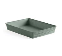 Tatay Caja Organizadora A4 Bohol | Cesta Almacenaje Plastico | Diseño Minimalista Funcional | Orden Hogar y Oficina | Plástico Reciclado Libre de BPA | 26,5x35x5,5 cm, Verde
