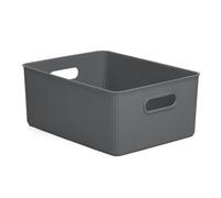 Tatay Caja organizadora Baobab 15 L – Polipropileno, libre de BPA, asas integradas – Gris antracita