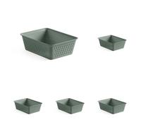 Tatay Organizador A6 Bohol, de Polipropileno, Libre de BPA, Plástico 100% Reciclado. Verde. Medidas 12,5 x 16,5 x 5,5 cm (Paquete de 5)