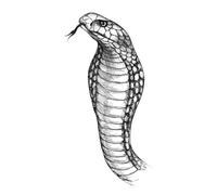Tatuaje impermeable pegatina águila pluma pájaro animales pierna espalda brazo tatuaje falso for hombres mujeres 160 * 90mm(013)