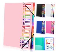 Tatxmalv Carpeta Clasificadora A4, Carpeta Expandible, Carpeta Separadores con 12 Ccompartimentos, Organizador de Documentos con Banda Elástica para Documentos de Oficina, Tareas Escolares (Rosa)