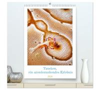 Tauchen, ein atemberaubendes Erlebnis (hochwertiger Premium Wandkalender 2026 DIN A2 hoch), Kunstdruck in Hochglanz: Die Kalenderseiten sind mit ... Tag in eine andere Welt eintauchen lassen.