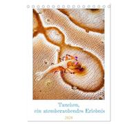 Tauchen, ein atemberaubendes Erlebnis (Tischkalender 2026 DIN A5 hoch), CALVENDO Monatskalender: Die Kalenderseiten sind mit atemberaubenden Bildern ... Tag in eine andere Welt eintauchen lassen.