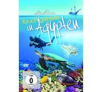 Tauchgebiete in Ägypten [Alemania] [DVD]