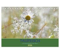 Taufrisch ... am frühen Morgen in der Wiese (Tischkalender 2026 DIN A5 quer), CALVENDO Monatskalender: Erfrischende Impressionen mit Tautropfen