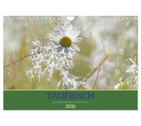 Taufrisch ... am frühen Morgen in der Wiese (Wandkalender 2026 DIN A4 quer), CALVENDO Monatskalender: Erfrischende Impressionen mit Tautropfen