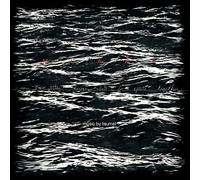 Taumel - Now We Stay Forever Lost in Space Together(Gtf.Lp) [Vinilo]