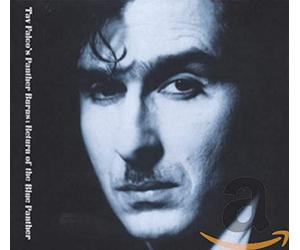 Tav Falco & Panther Burns - Return of the Blue Panther + Midnight In Memphi