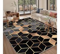 Taxestmy Alfombra Salon Antideslizante Alfombras Lavables en Lavadora Tapetes para Sala 40 x 60 cm Habitacion Dormitorio Grande Tapete Pelo Corto tapete Quarto