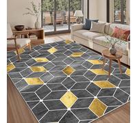 Taxestmy Alfombra Salon Antideslizante Alfombras Lavables en Lavadora Tapetes para Sala 40 x 60 cm Habitacion Dormitorio Grande Tapete Pelo Corto tapete Quarto