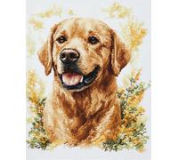 Taxpy 11Ct Kit Punto De Cruz Con Hilos Y Tel Impresa Perro Labrador 40X50Cm Cuadros En Bordar Punto De Cruz Kit Bordado Completo Esquemas Cross Stitch Embroidery Para Principiantes Patrones Con