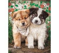 Taxpy Diy Kit De Punto De Cruz Con Cuentas Dos Perros Animales Paquete De Materiales Para Bordado De Cuentas,Adorno Fotográfico Estereoscópico Hecho A Mano,Regalo 60x80cm