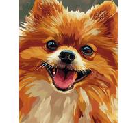 Taxpy DIY Pintar Con Numeros(Sin Marco) Animal Perro Pomerania Kit De Pintura Al Óleo Sobre Lienzo Pintura Por Números Decoración De Pared Vintage Para El Hogar Y La Oficina 30x40cm