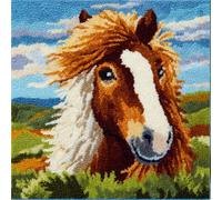 Taxpy Kit De Cojín De Con Gancho De Pestillo,Pony Juego De Bordado De Alfombras,Patrón De Lona De Ganchillo,Manualidades Para Adultos Y Principiantes,17 X 17 Pulgadas