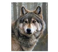 Taxpy Kit De Punto De Cruz, Algodón, Multicolor, Lobo Animal Preimpreso 11Ct Punto De Cruz Kit Completo Bordado Hilos Dmc Costura Tejer Hobby Hecho A Mano40*50Cm