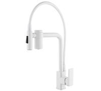 TAXXII Grifo telescópico, Grifo de Agua, Grifo de Cocina con Filtro de Agua Incorporado, Grifo Mezclador Monomando con Filtro 2 en 1 para Fregadero de Cocina con rociador extraíble, Grifo
