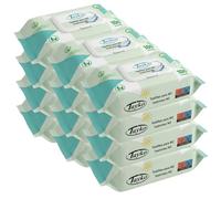 Tayko Papel Higiénico Húmedo Aloe Vera, 1200 toallitas con Tapa Rígida, Desechables para WC y Biodegradables, Dermatológicamente testeadas, con extracto camomila (12 paquetes de 100)