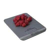 Taylor Balanza de Cocina Tamaño Pequeño, Compacta, Delgada, Gran Precisión con Función de Peso con Tara, Gris, 5 kg de Capacidad