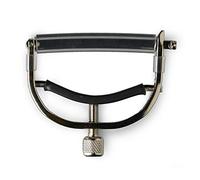 Taylor Capo 12-String Bright Nickel